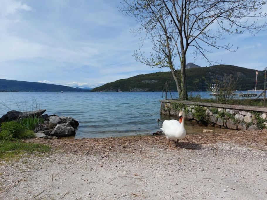 Charmant Et Spacieux Appartement A Quelques Pas Du Lac Duingt Exterior photo